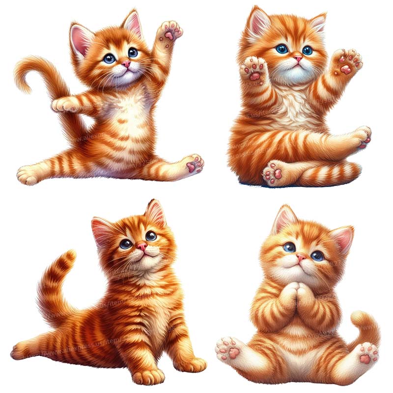 Yoga Cat  Wall Sticker Removab - Kitchen Appliances Design review and price